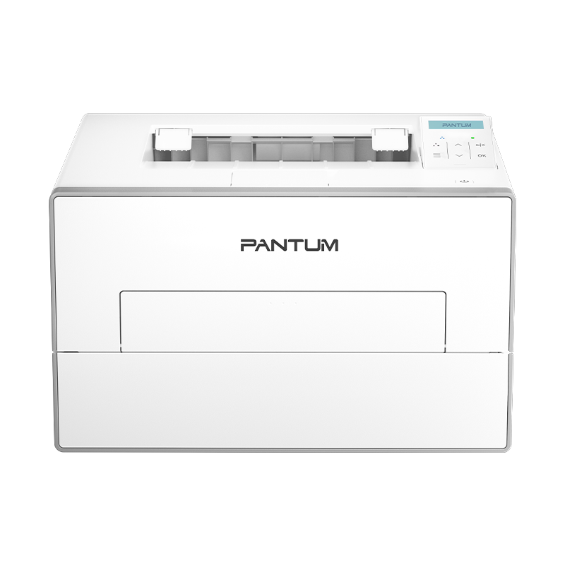 PANTUM Laser BP4200DW thumbnail 2