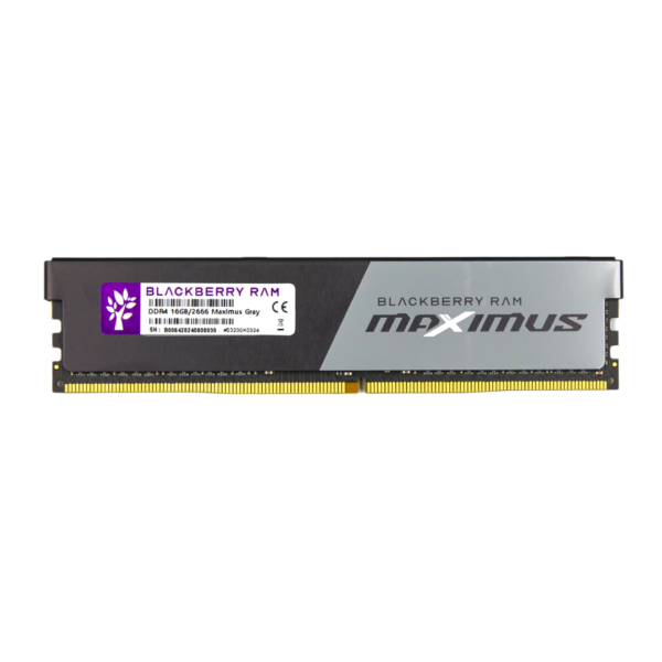 Blackberry RAM DDR4(2666) 16GB BLACKBERRY MAXIMUS GRAY — product image 1