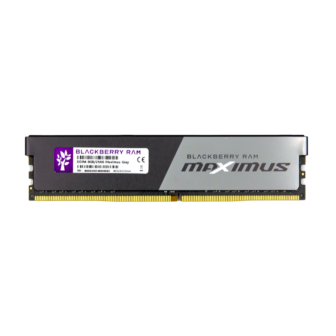 Blackberry RAM DDR4(2666) 8GB BLACKBERRY MAXIMUS GRAY — product image 1