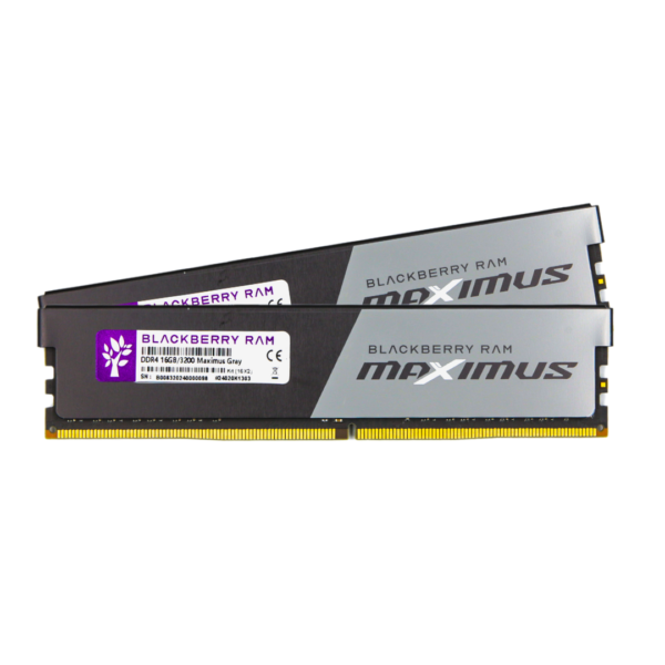 Blackberry RAM DDR4(3200) 32GB (16GBX2) BLACKBERRY MAXIMUS GRAY — product image 1