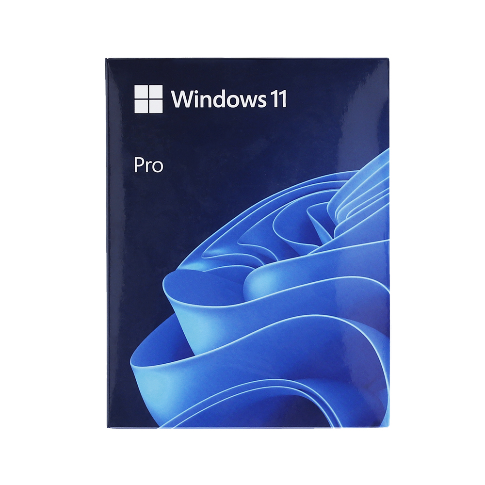 microsoft WINDOWS 11 PRO 64 BIT (FPP, HAV-00163) — product image 1